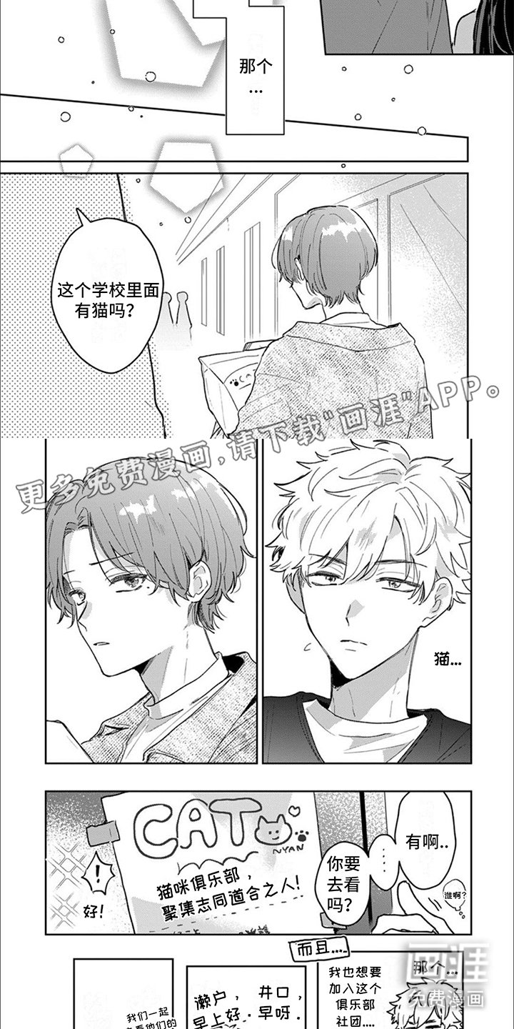 第6章：继续尝试 