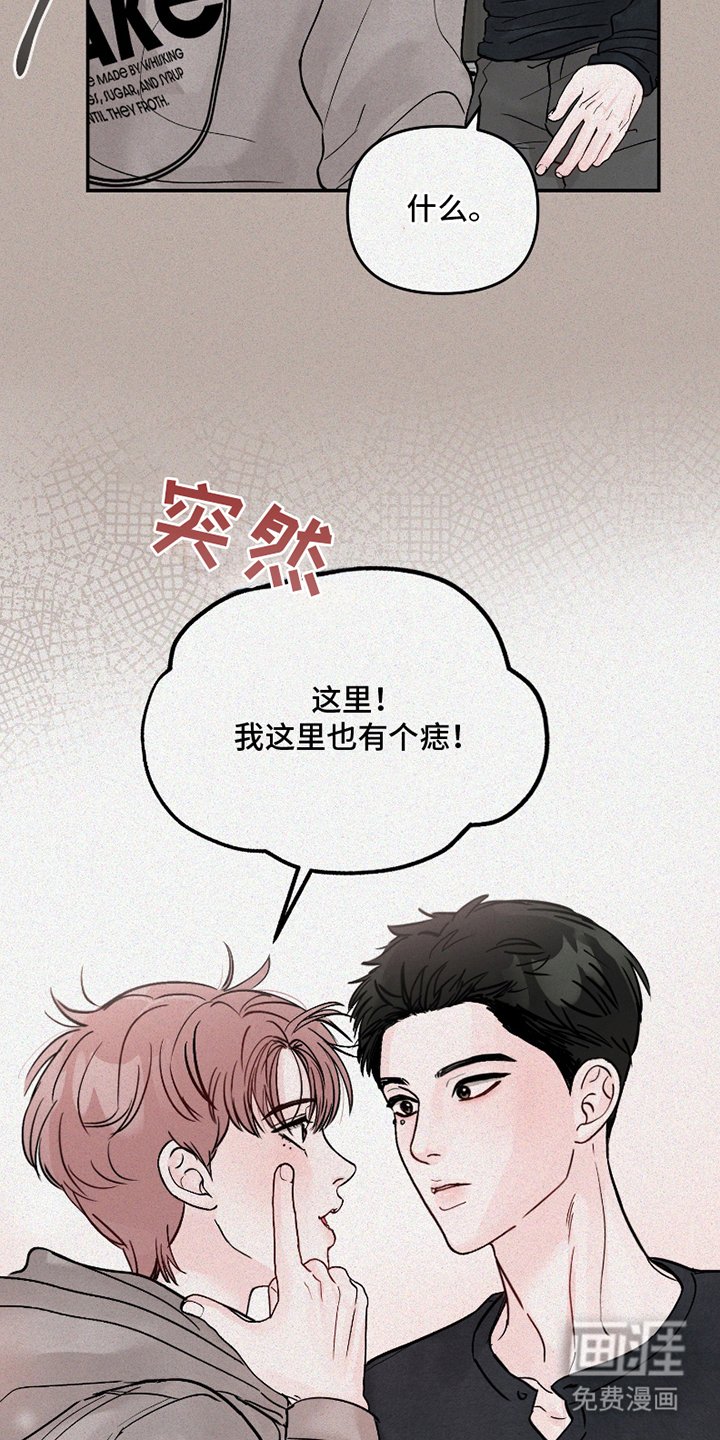 第2章：相似