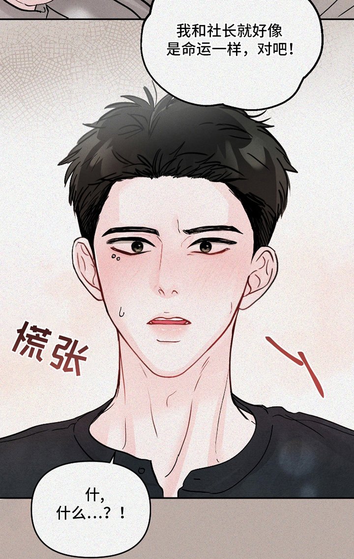 第2章：相似