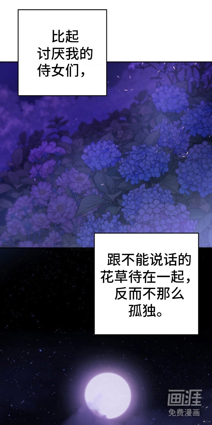 第15章：偶遇