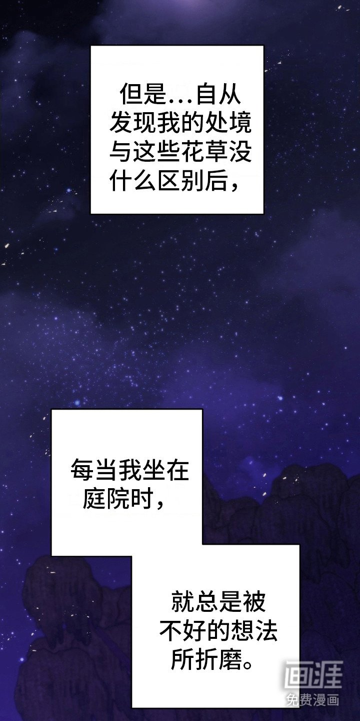第15章：偶遇