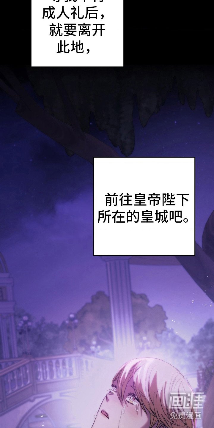 第15章：偶遇