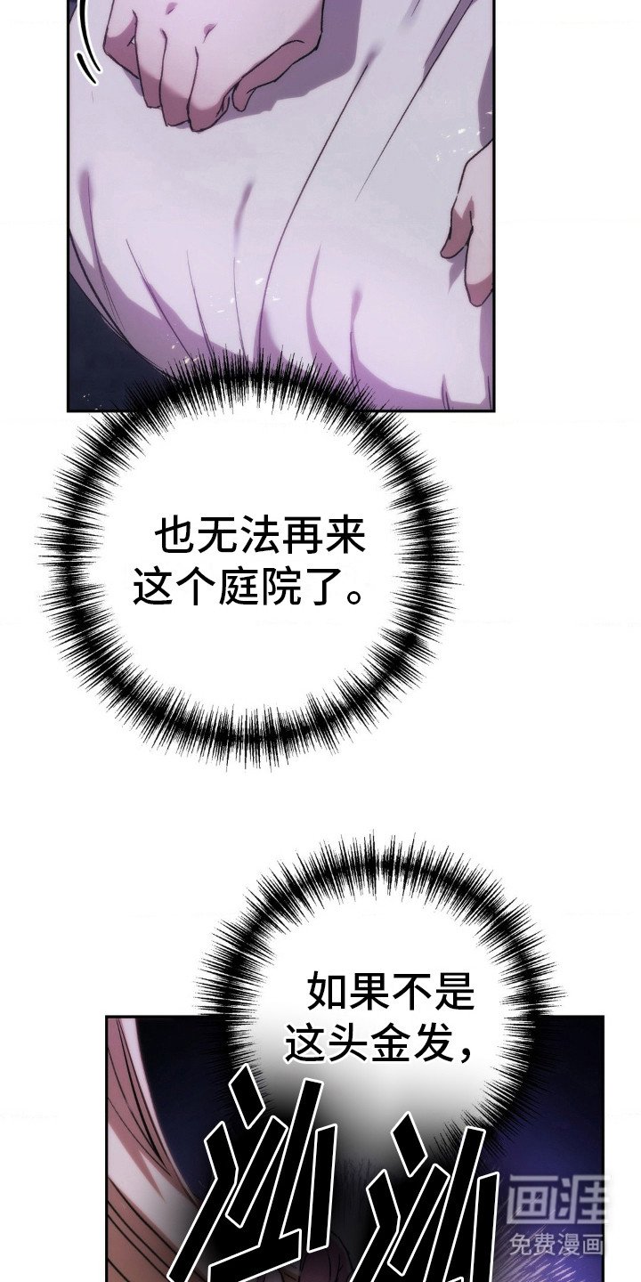 第15章：偶遇
