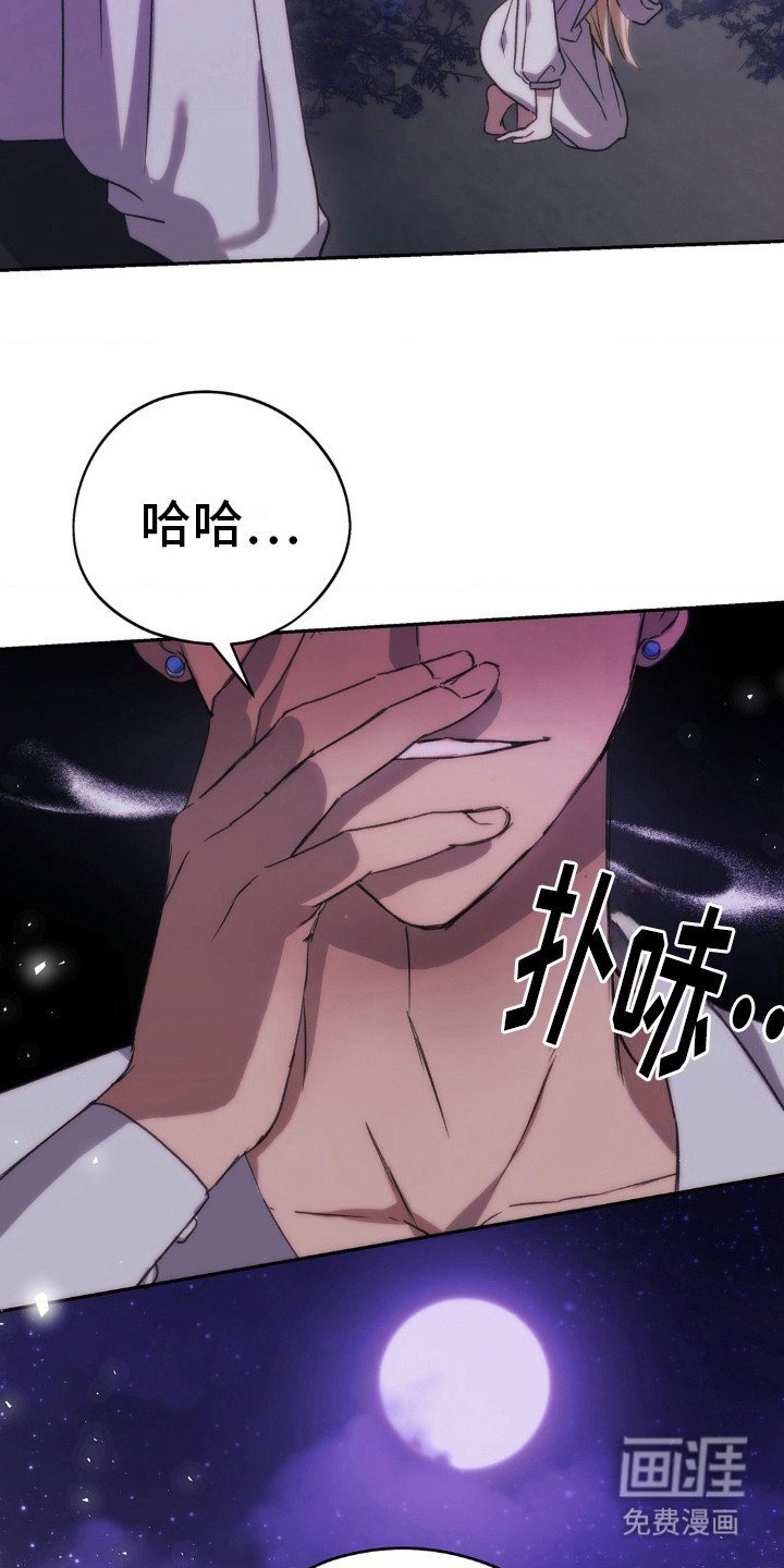 第15章：偶遇