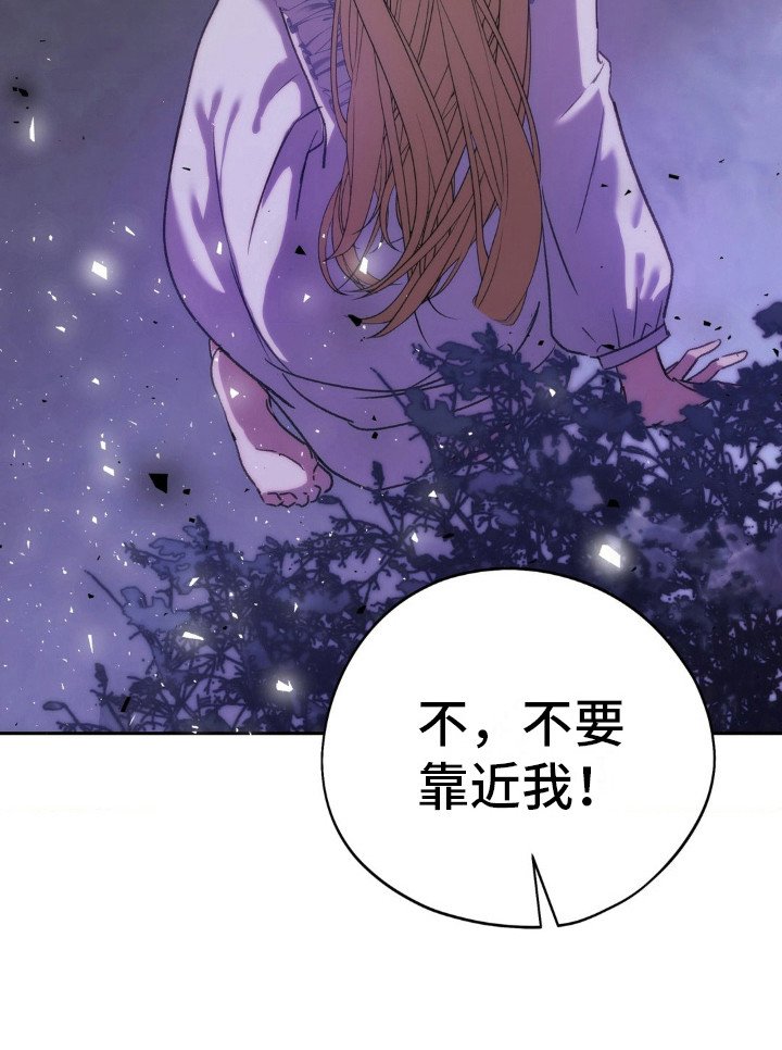 第15章：偶遇
