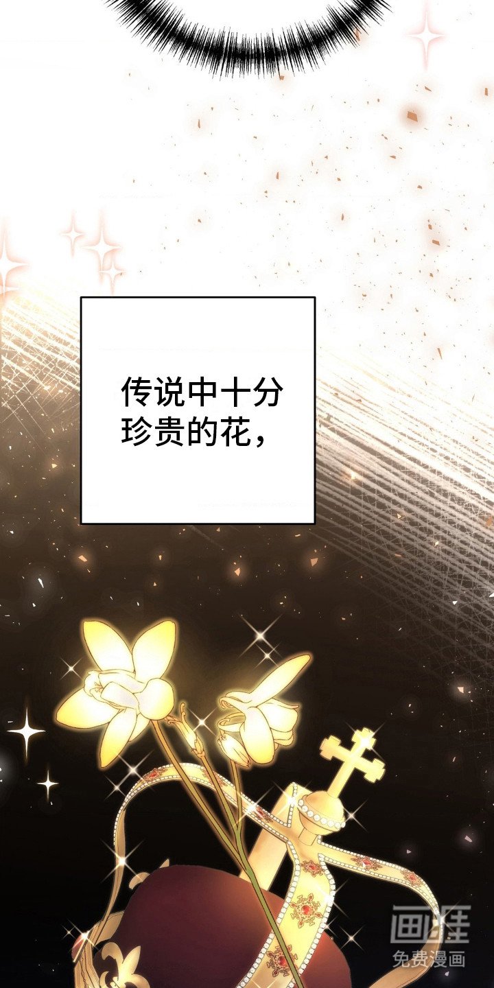 第16章：神秘香气