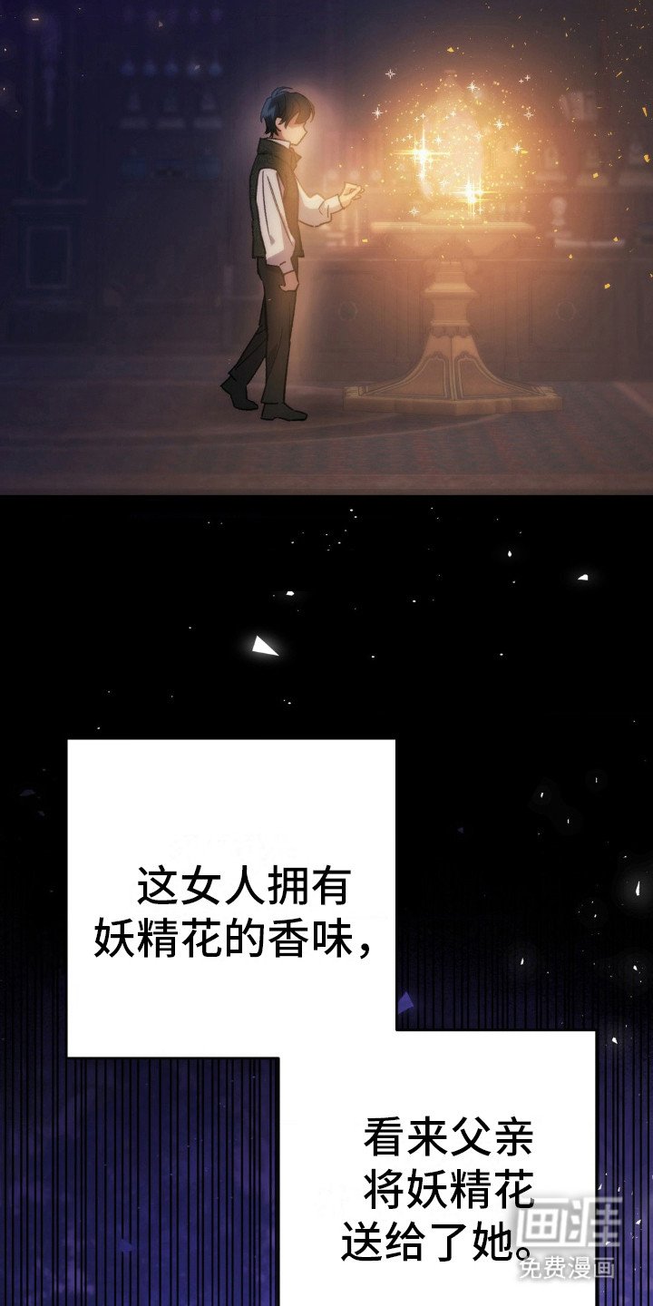 第16章：神秘香气