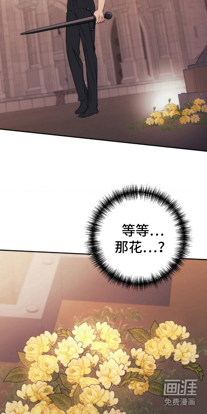 第6章：野花