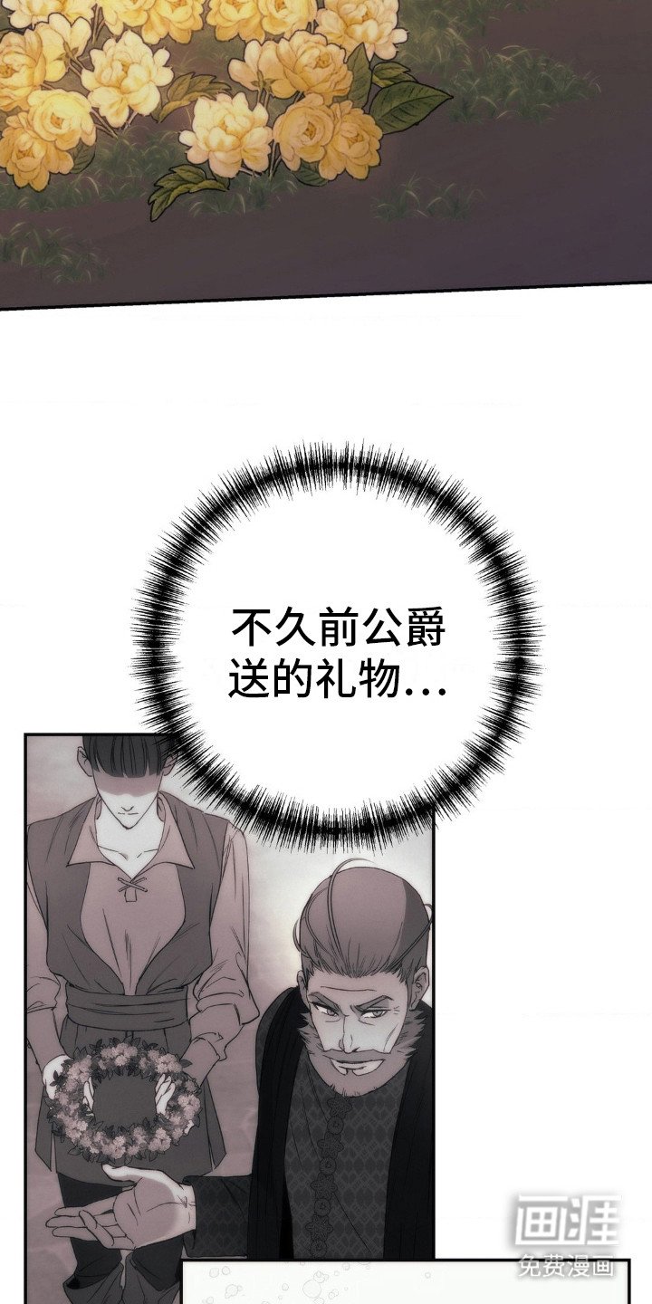 第6章：野花