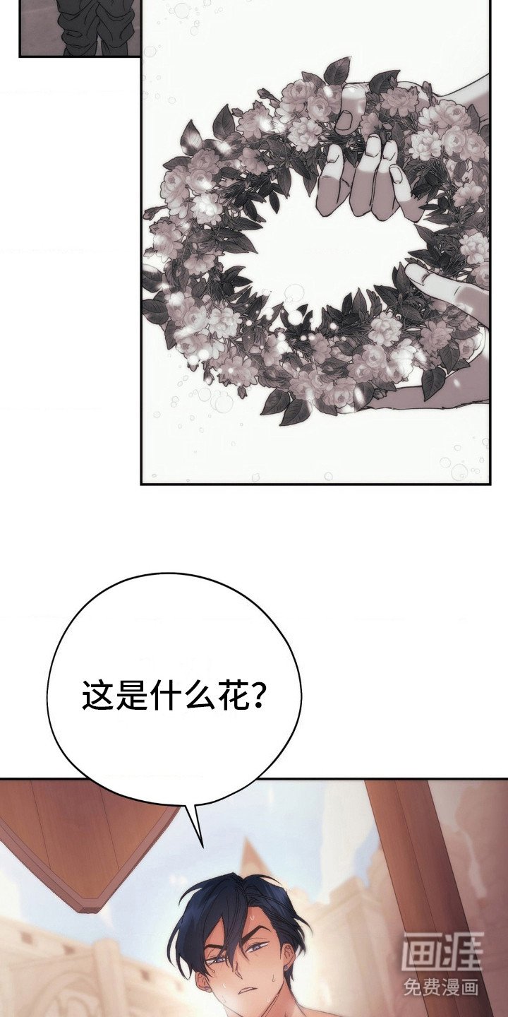 第6章：野花