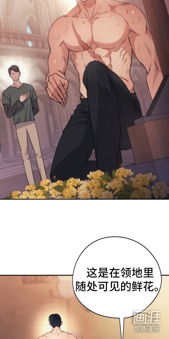 第6章：野花