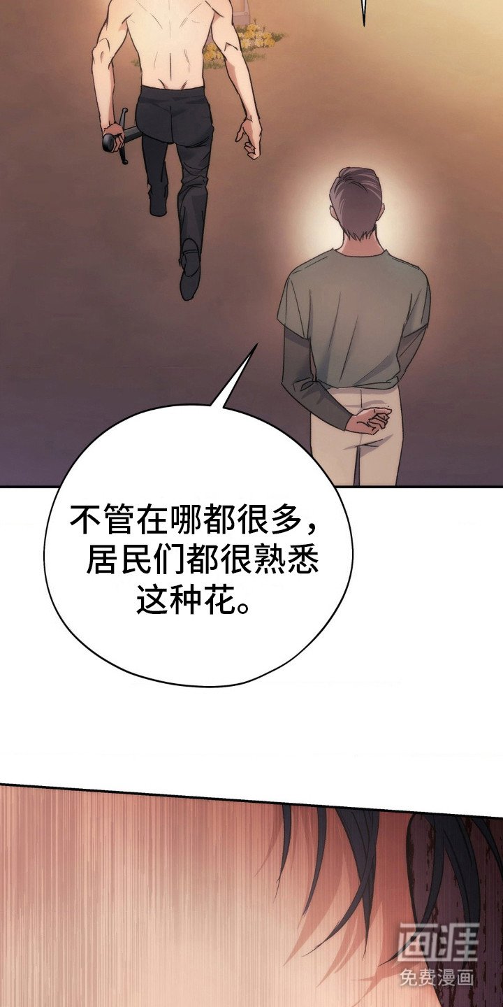 第6章：野花