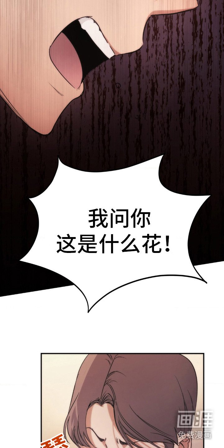 第6章：野花