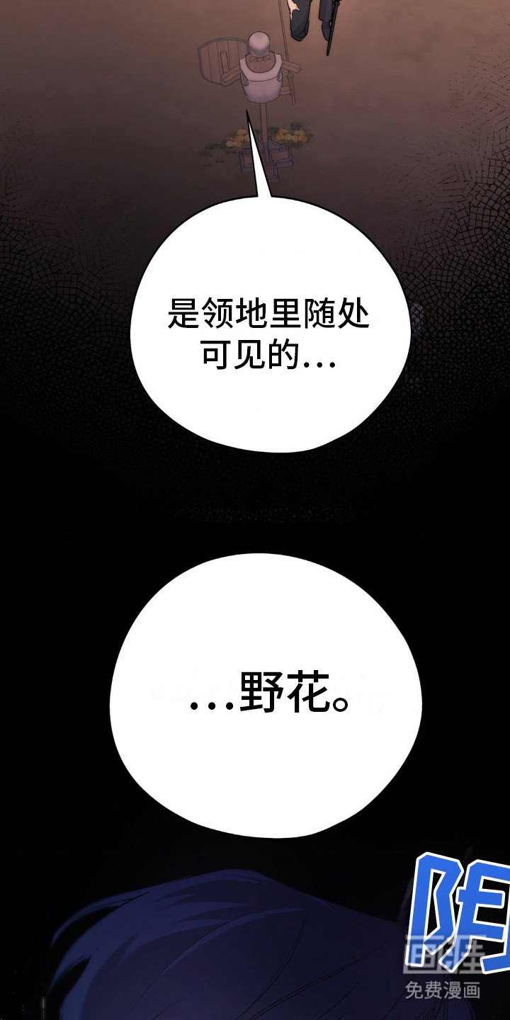 第6章：野花