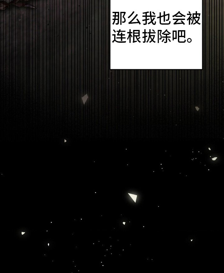 第7章：小小心意