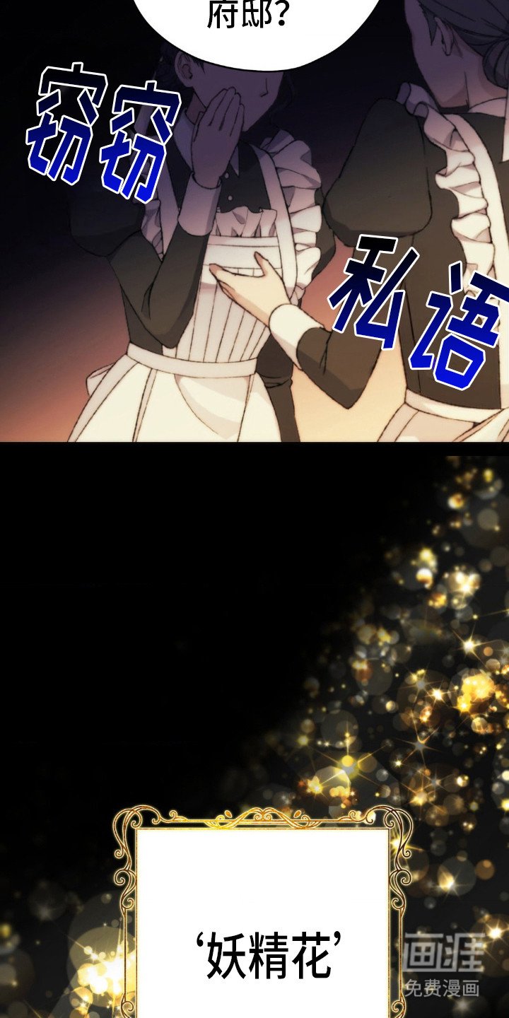 第8章：妖精花香油