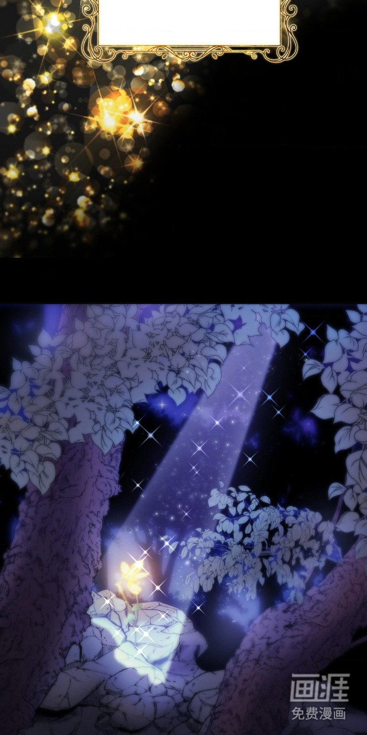 第8章：妖精花香油