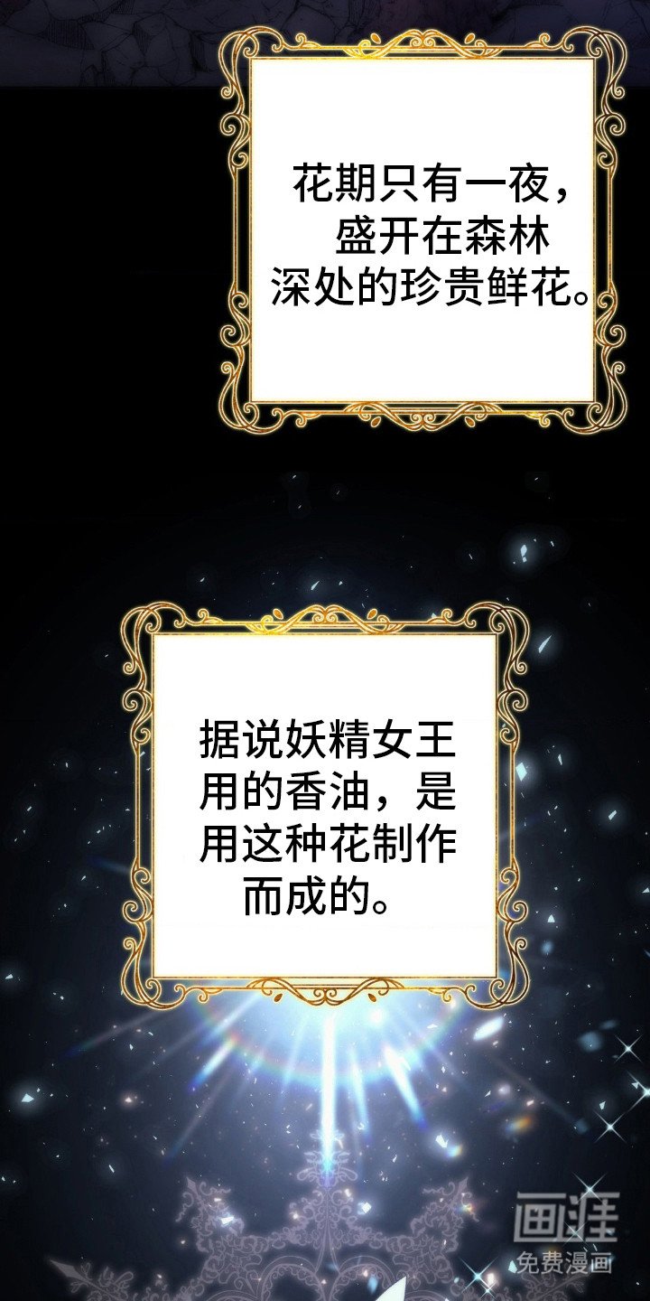 第8章：妖精花香油