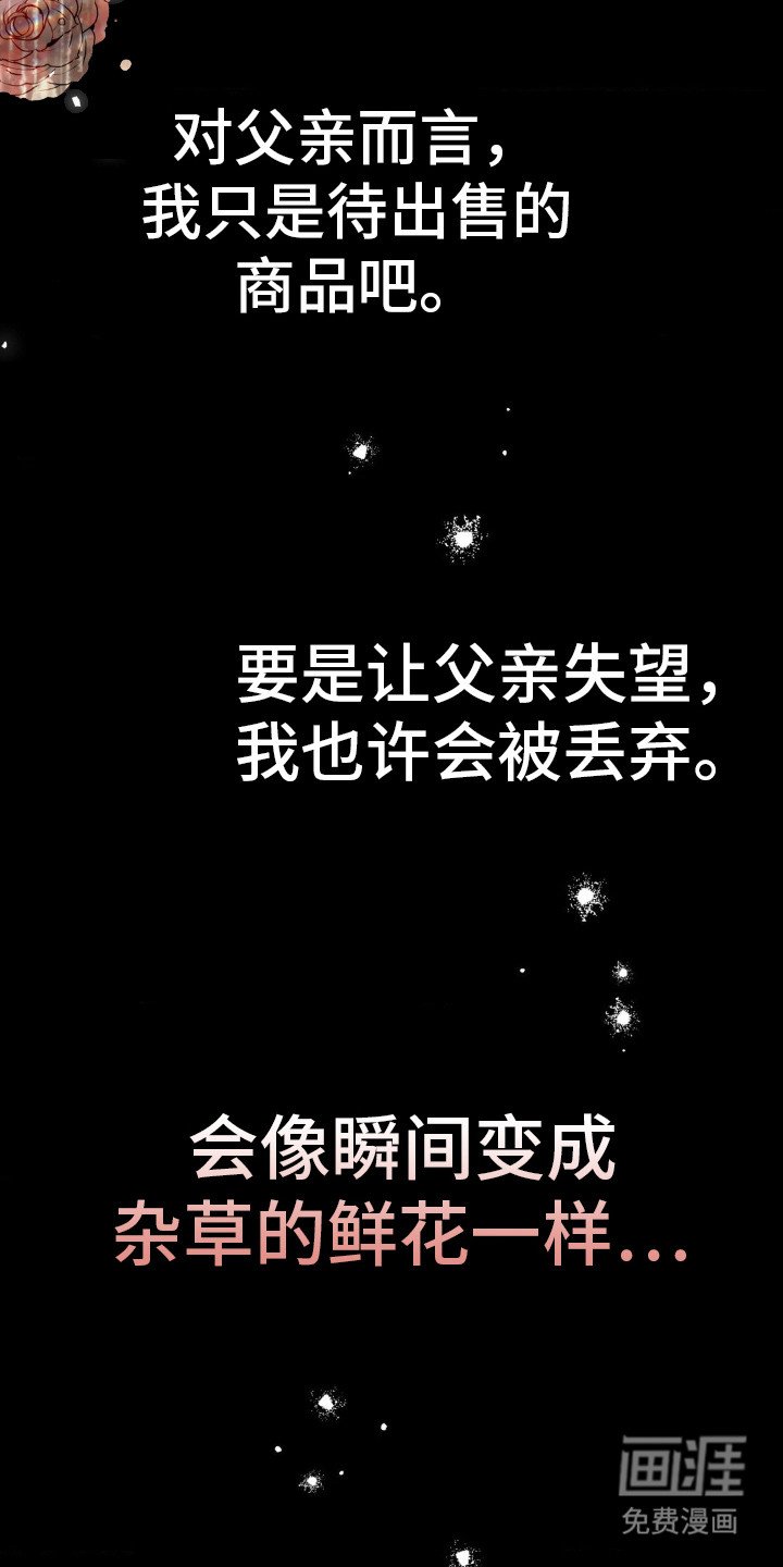 第8章：妖精花香油
