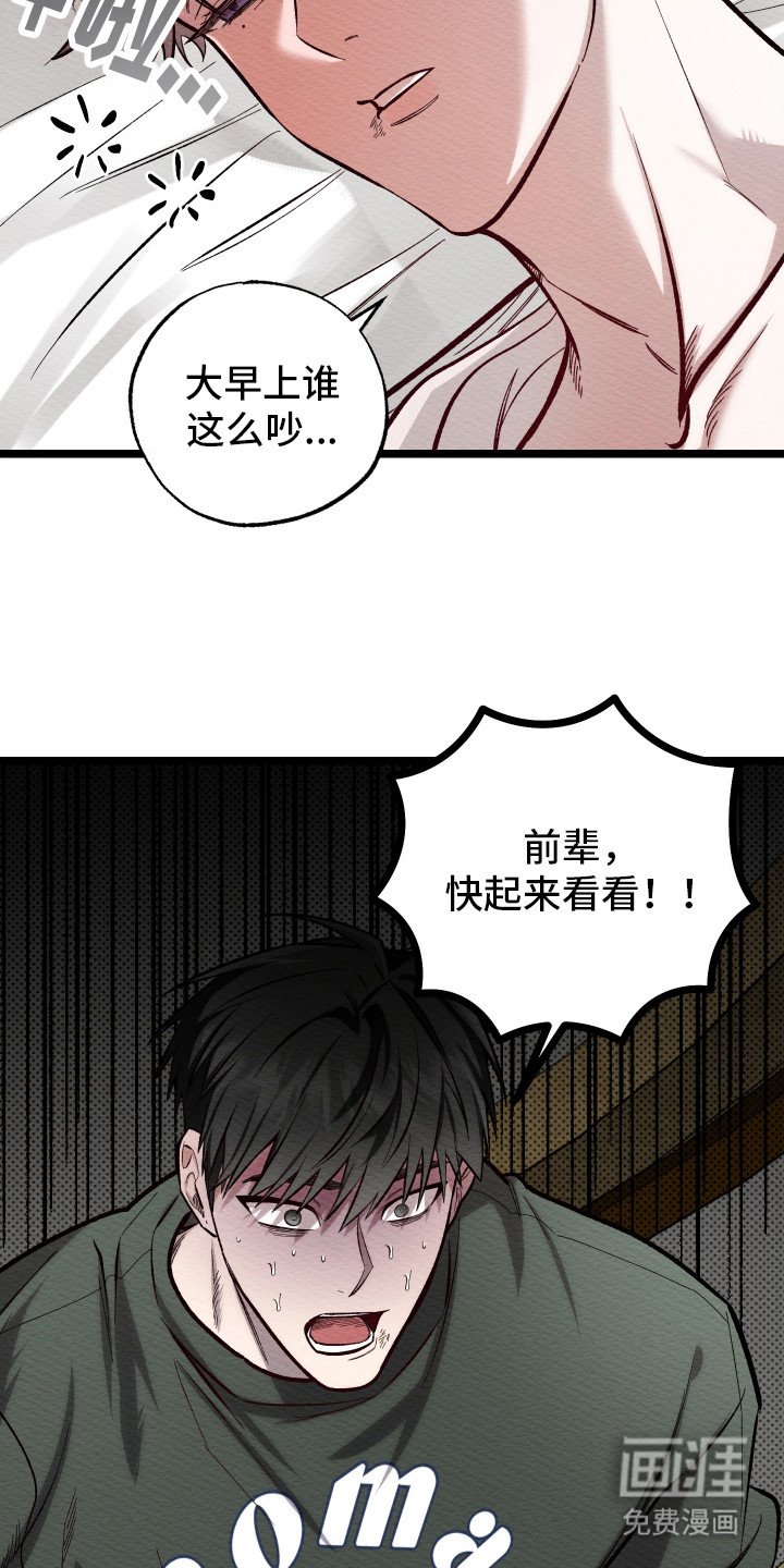 第10章：新闻