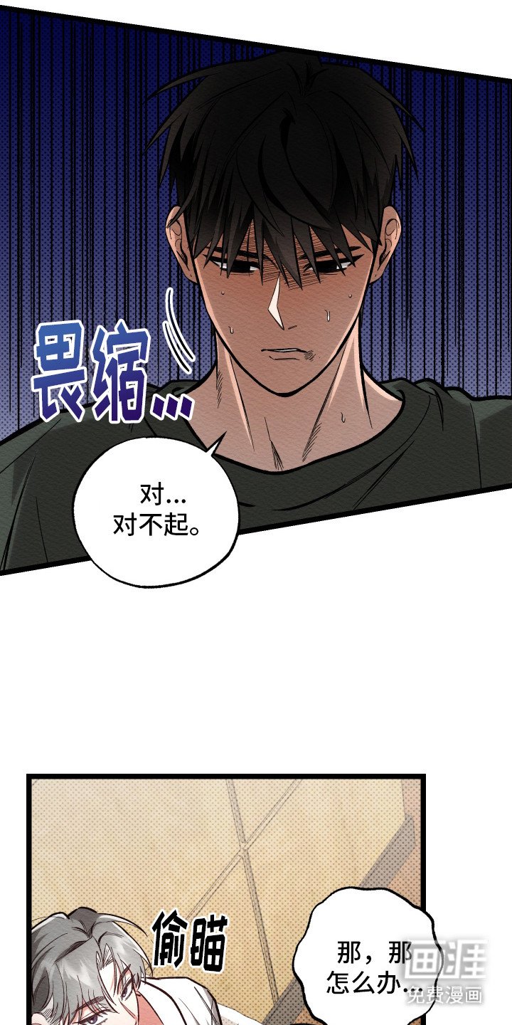 第10章：新闻