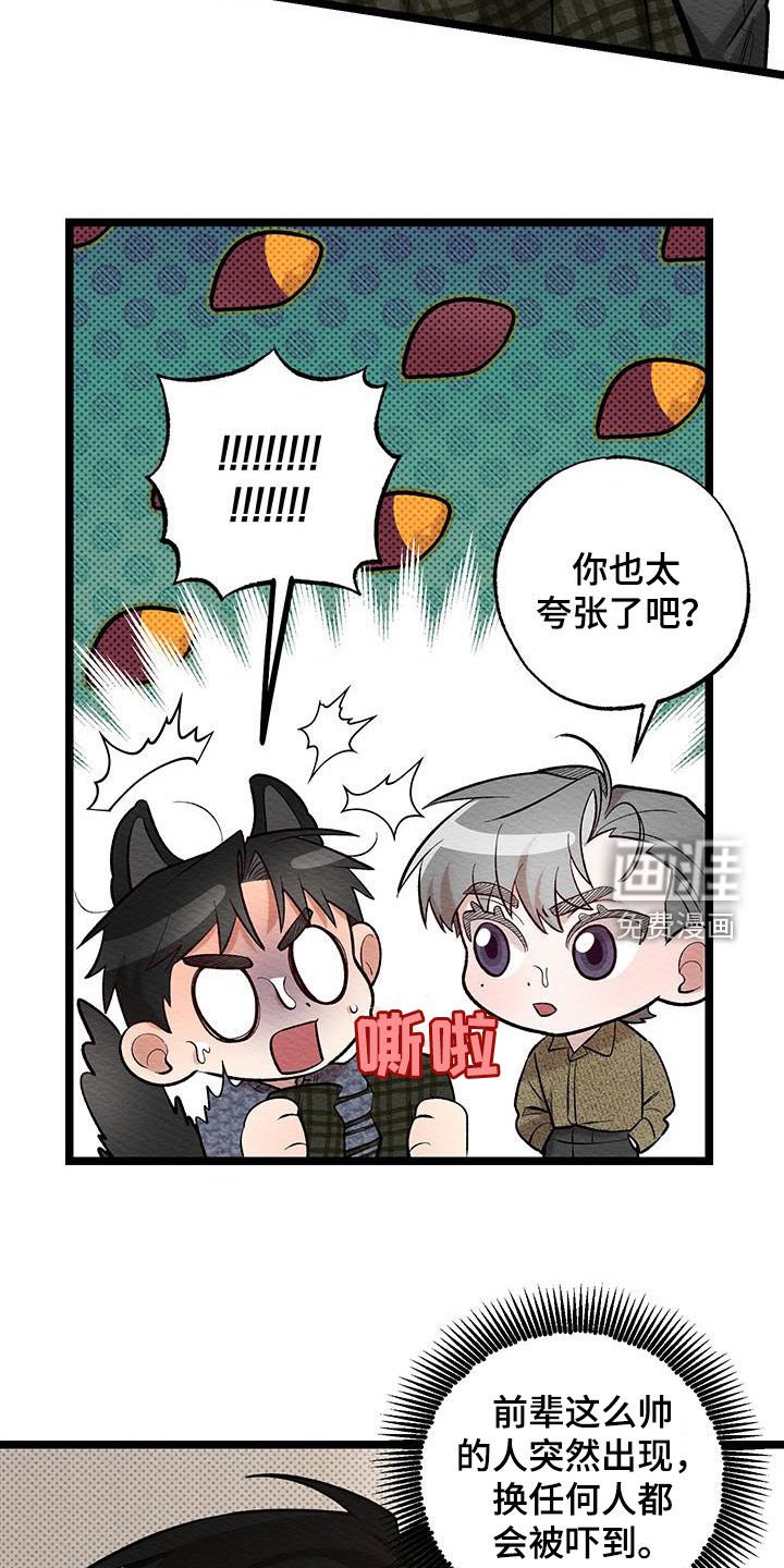 第15章：落荒而逃