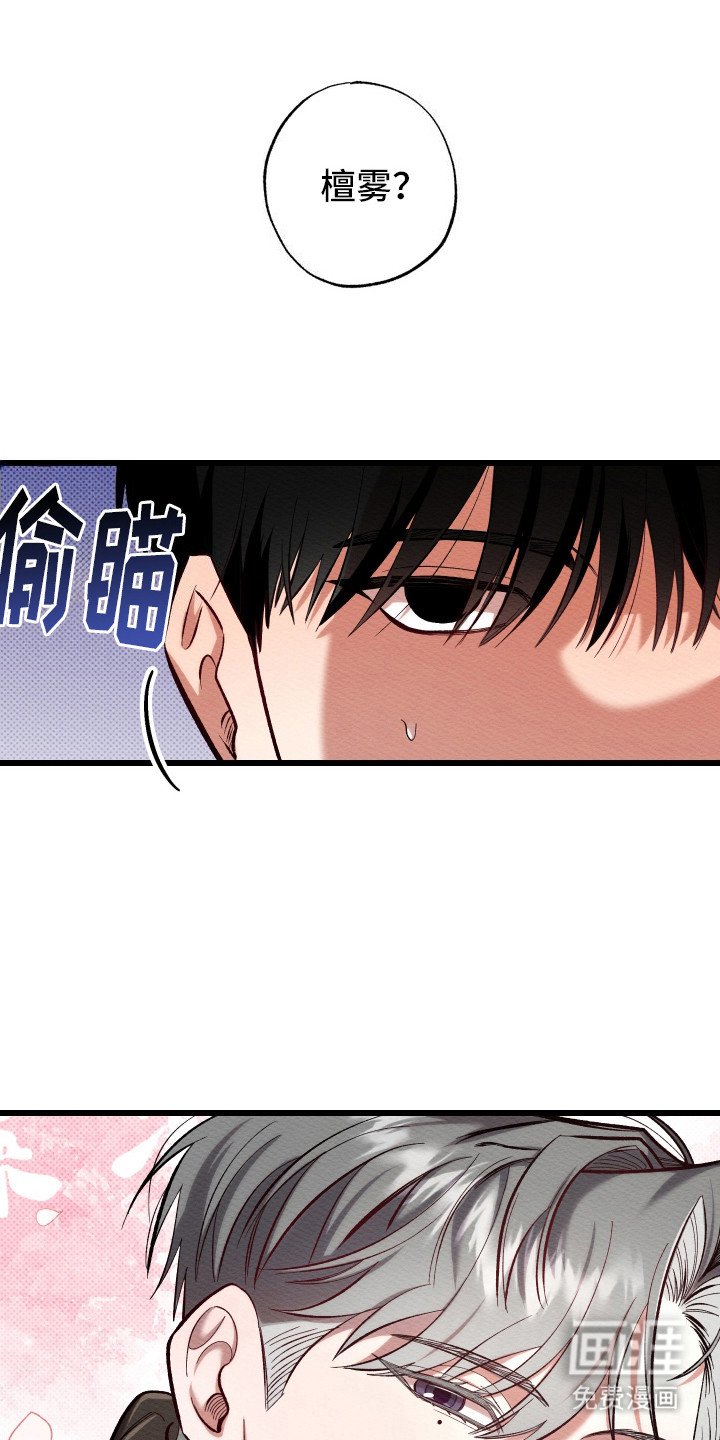 第2章：新人