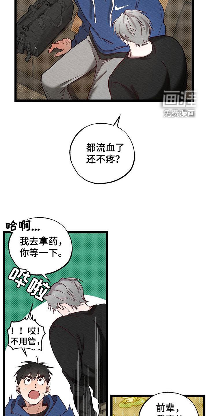 第29章：受伤