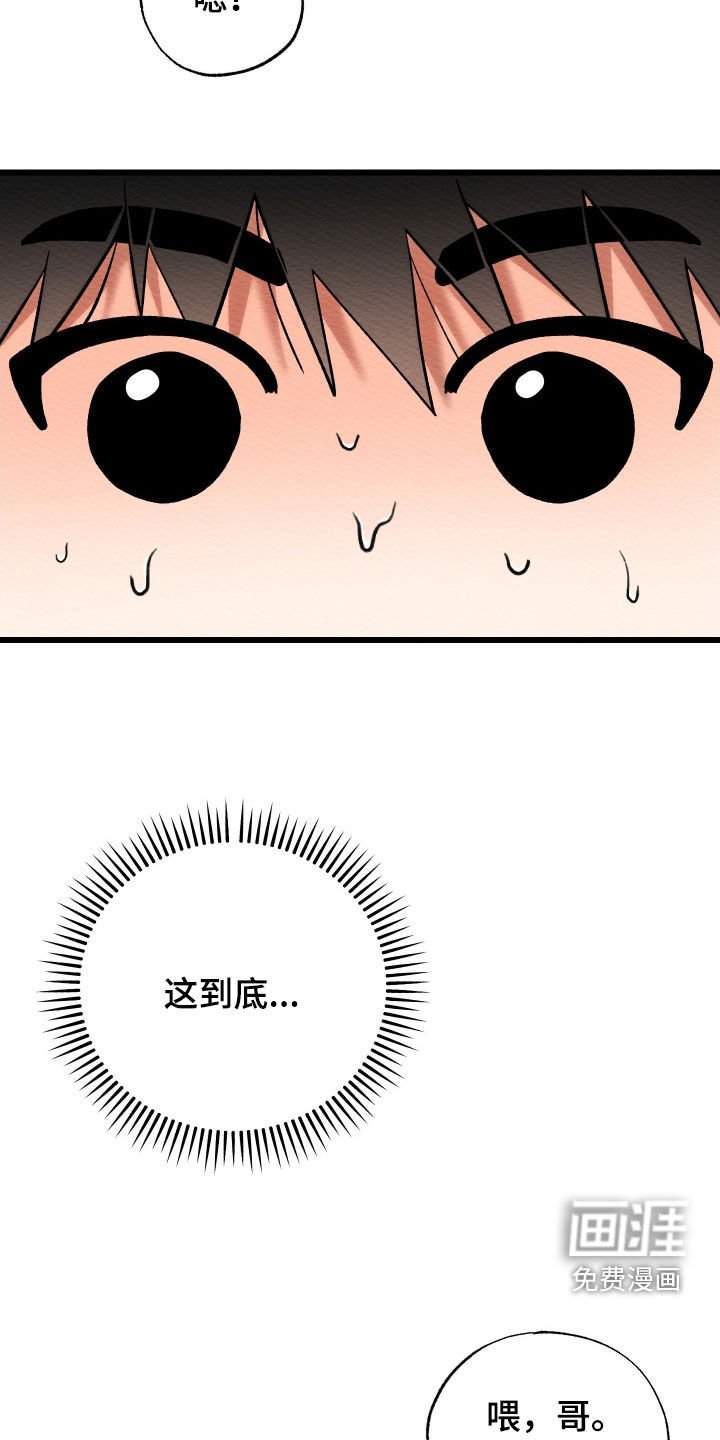 第37章：喜欢