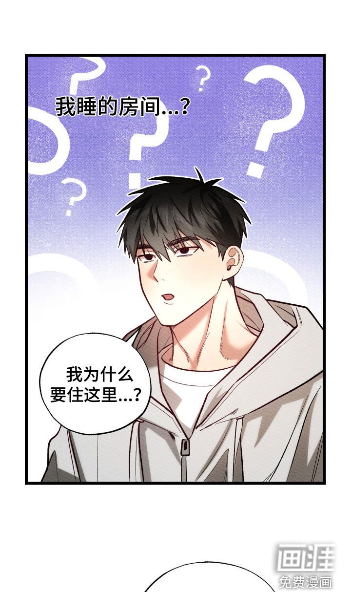 第37章：喜欢