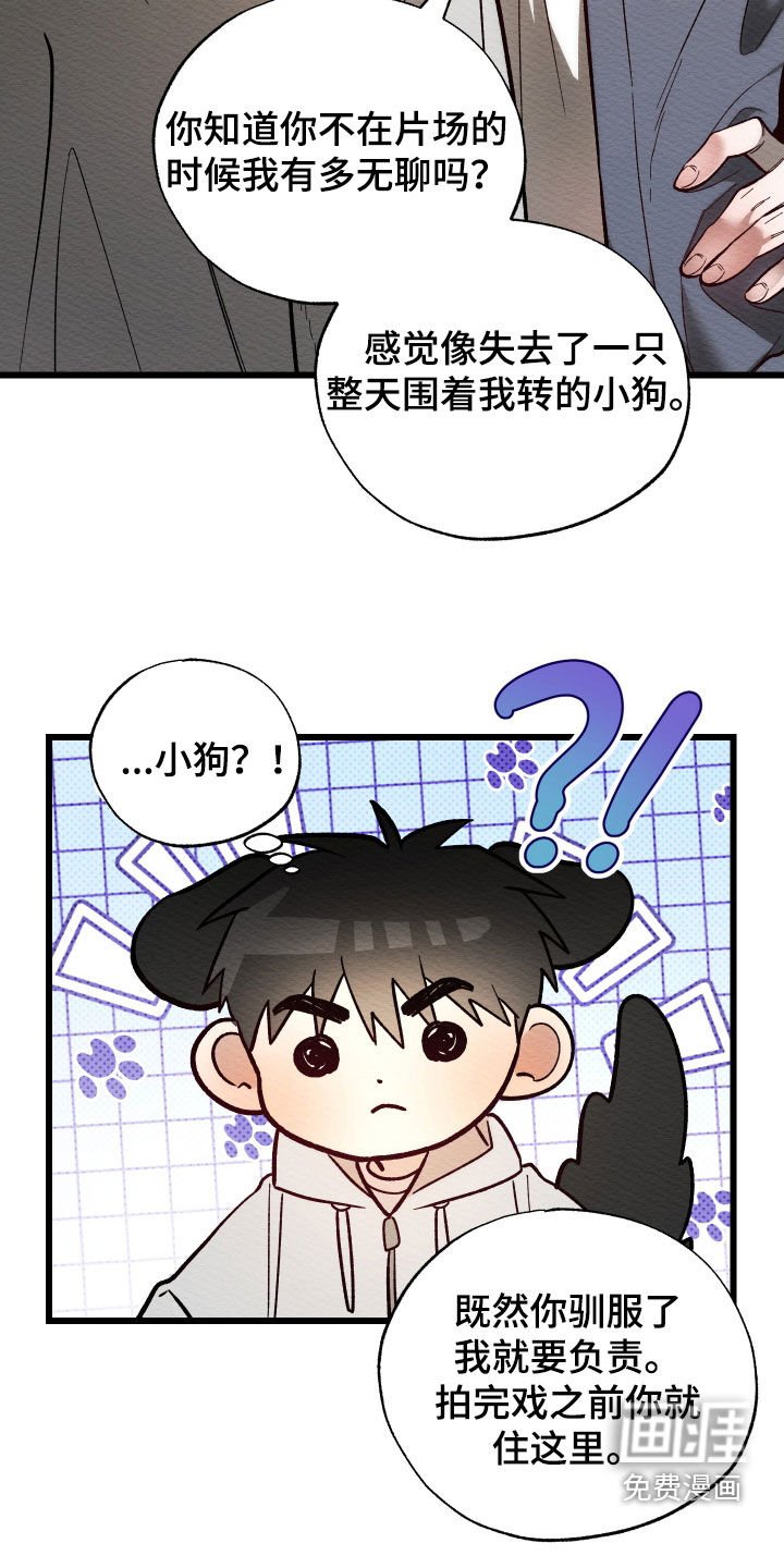第37章：喜欢