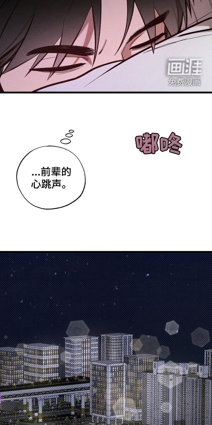 第51章：太喜欢你了