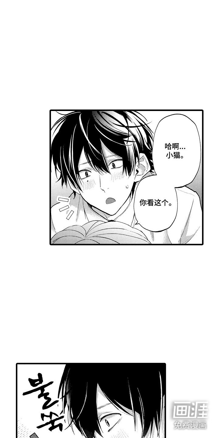 第13章：一起努力（完）
