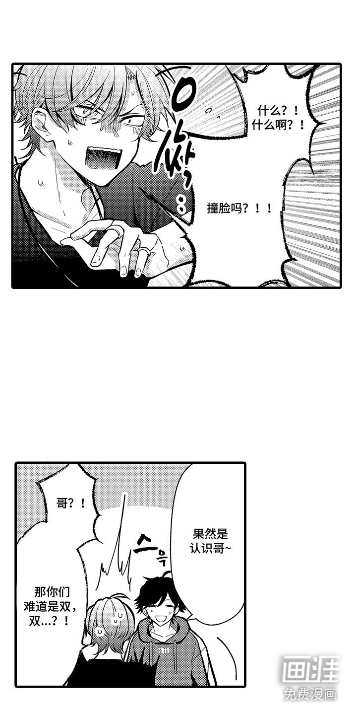 第15章：双胞胎