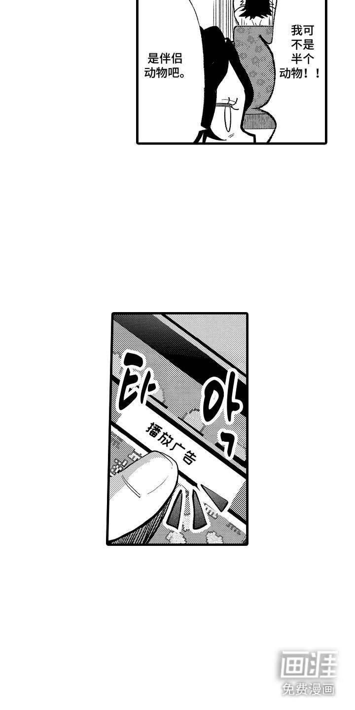 第18章：广告