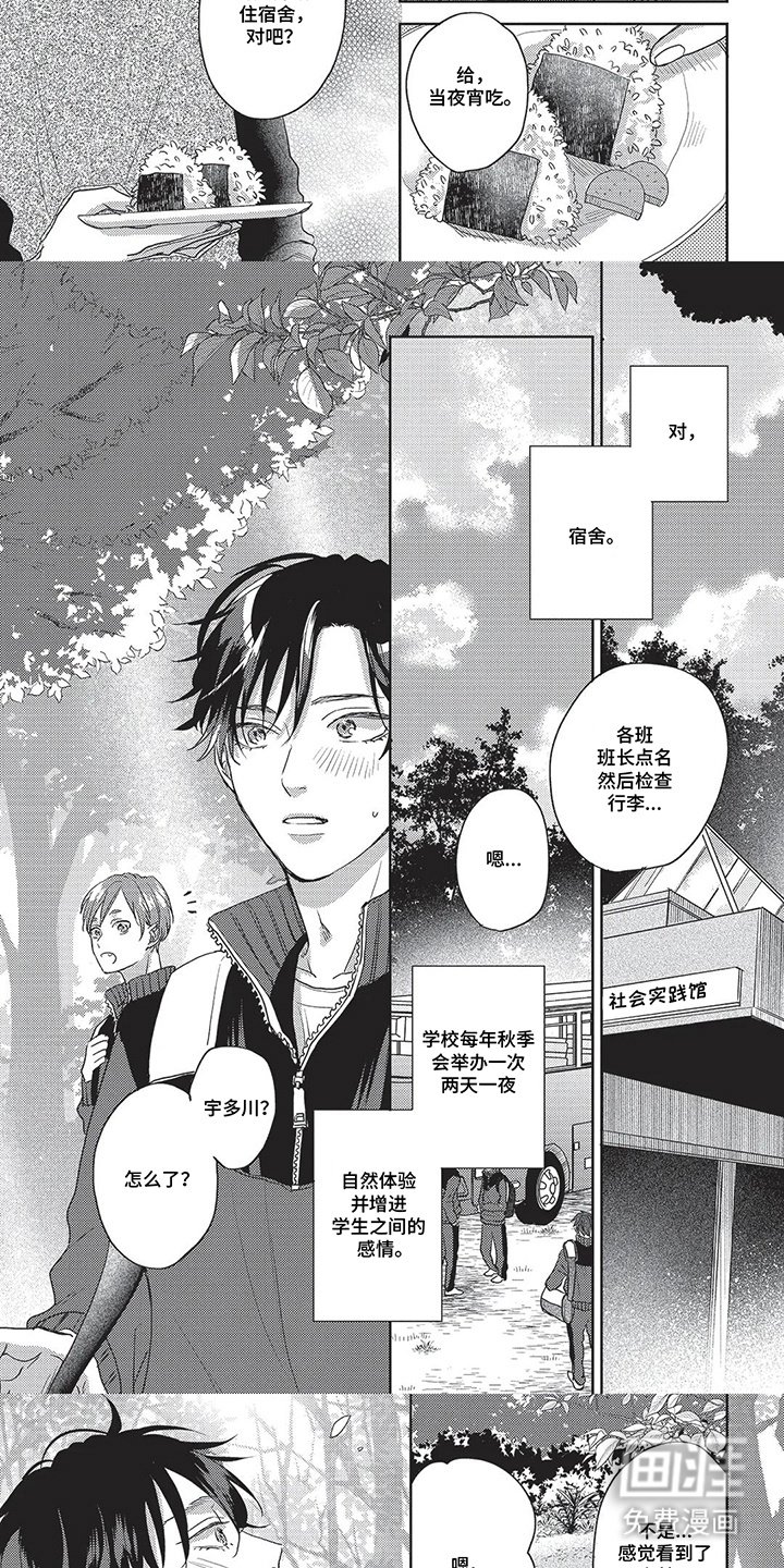 第12章：户外活动