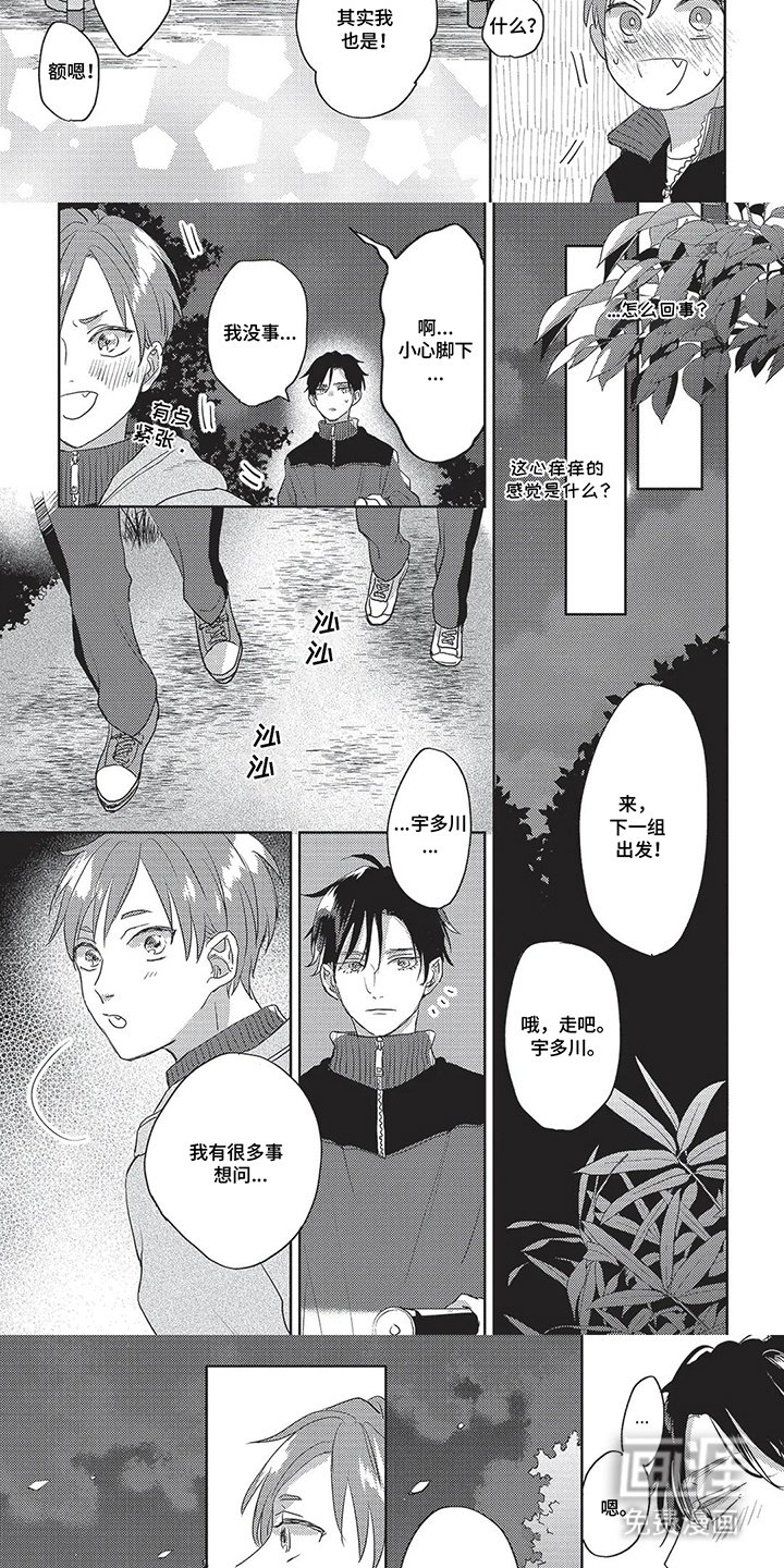 第14章：夜间散步