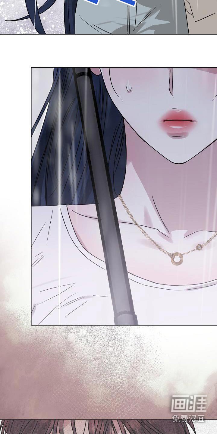 第29章：失去理性