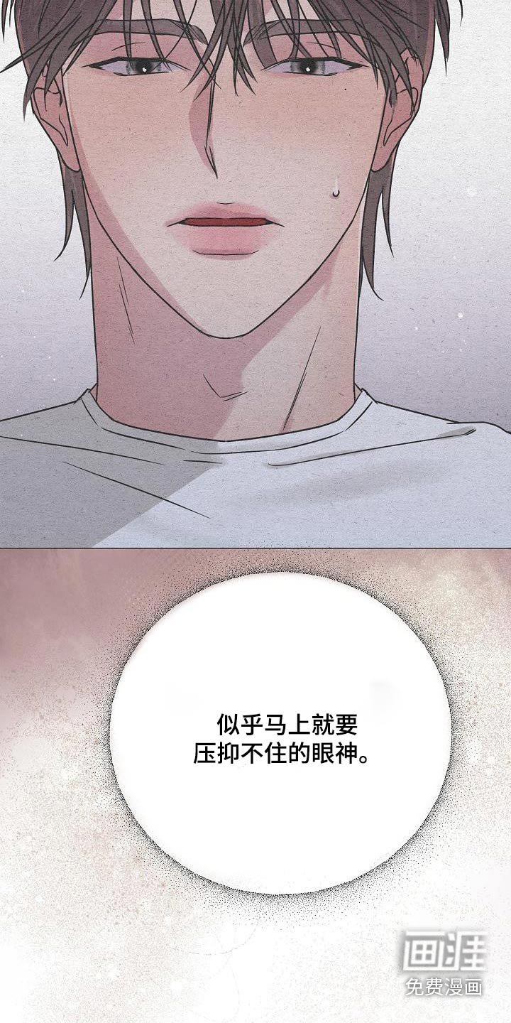 第29章：失去理性