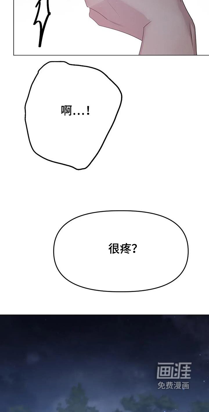 第52章：打算交往