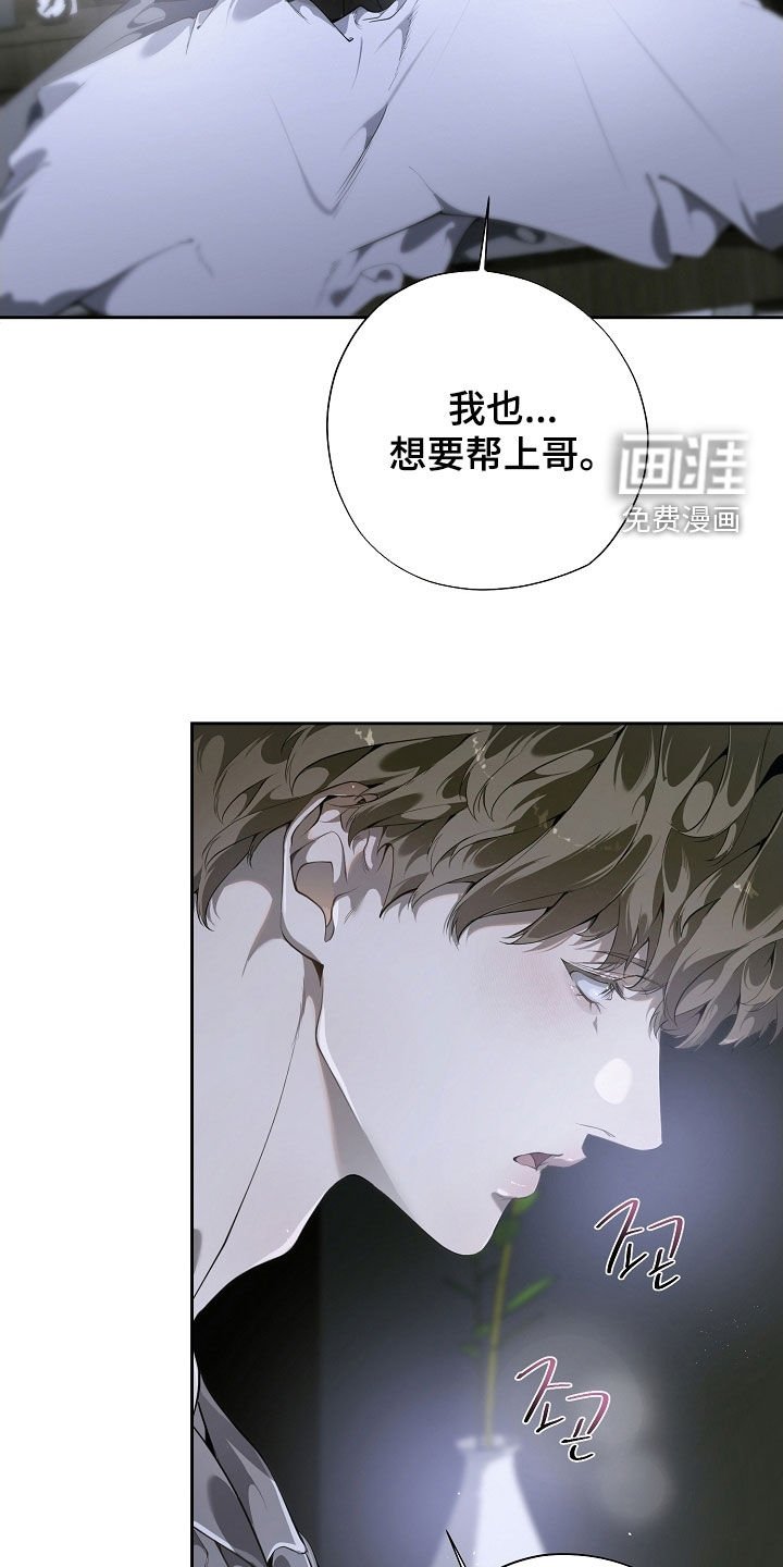第100章：照片