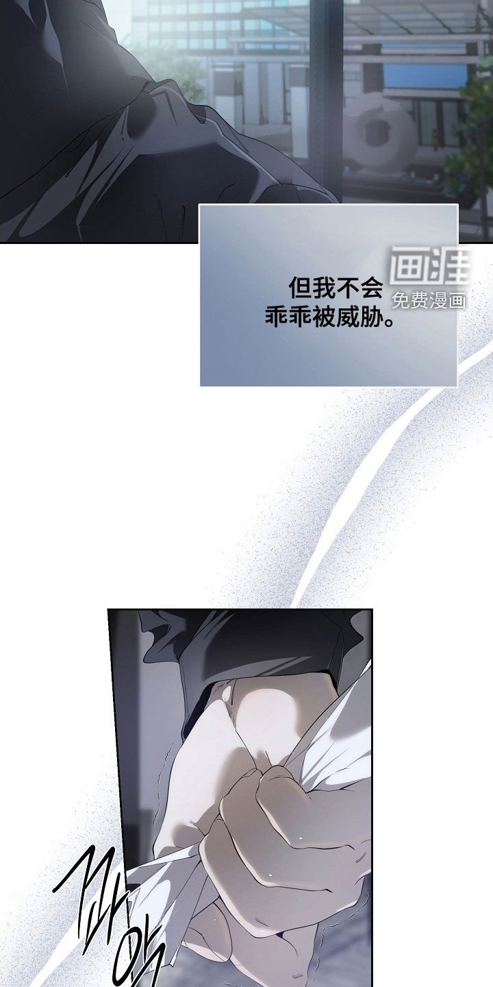 第102章：可能性很大