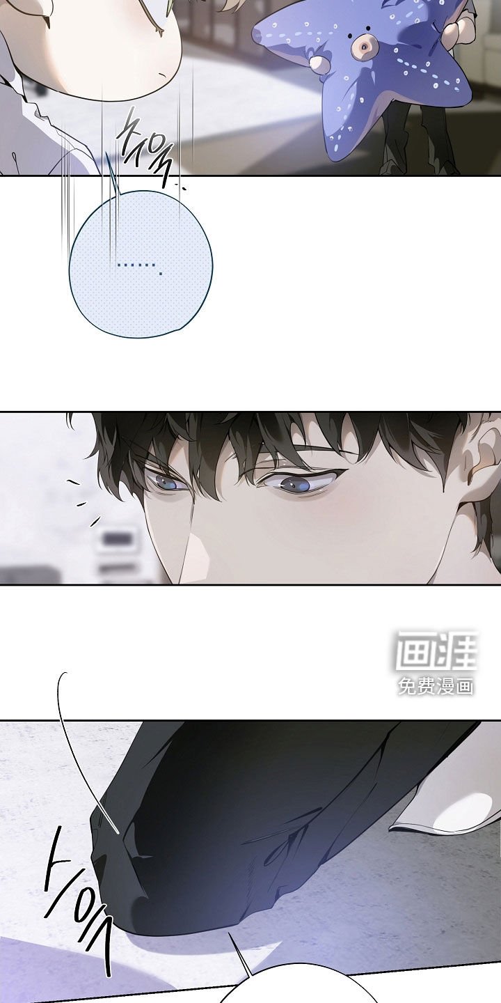 第104章：我爱的样子