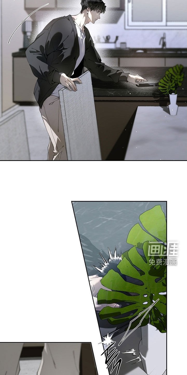 第107章：做我能做的事