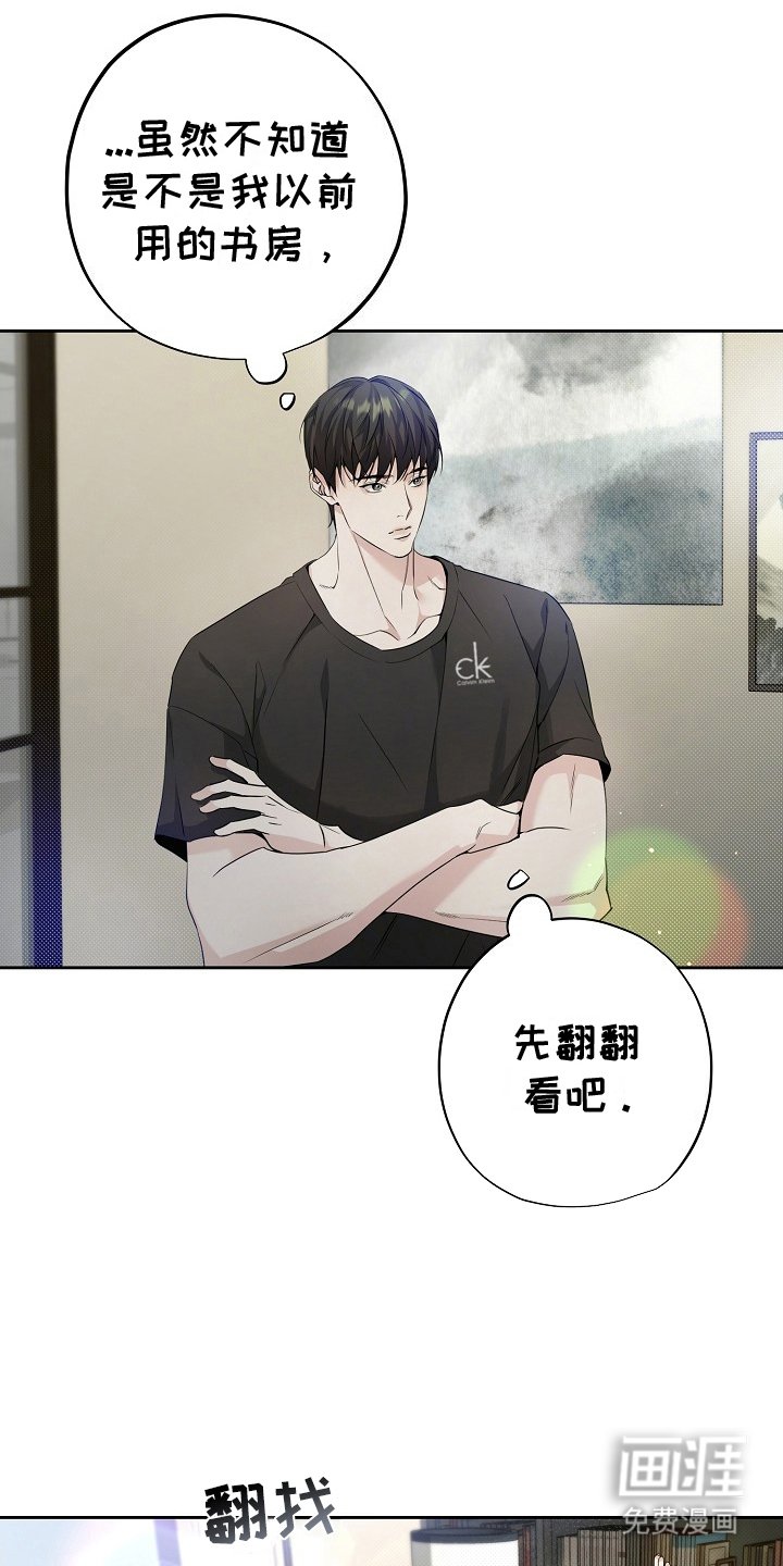 第11章：原因
