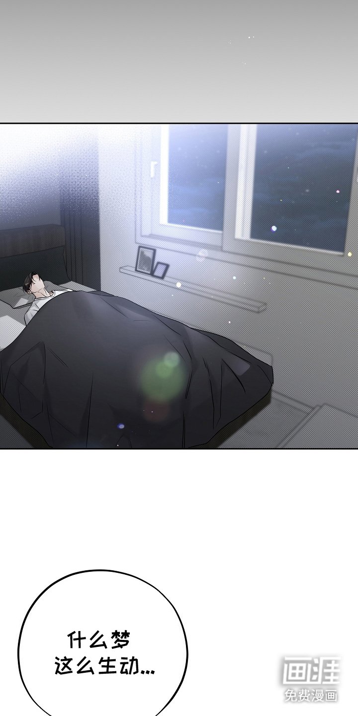 第18章：另一个梦