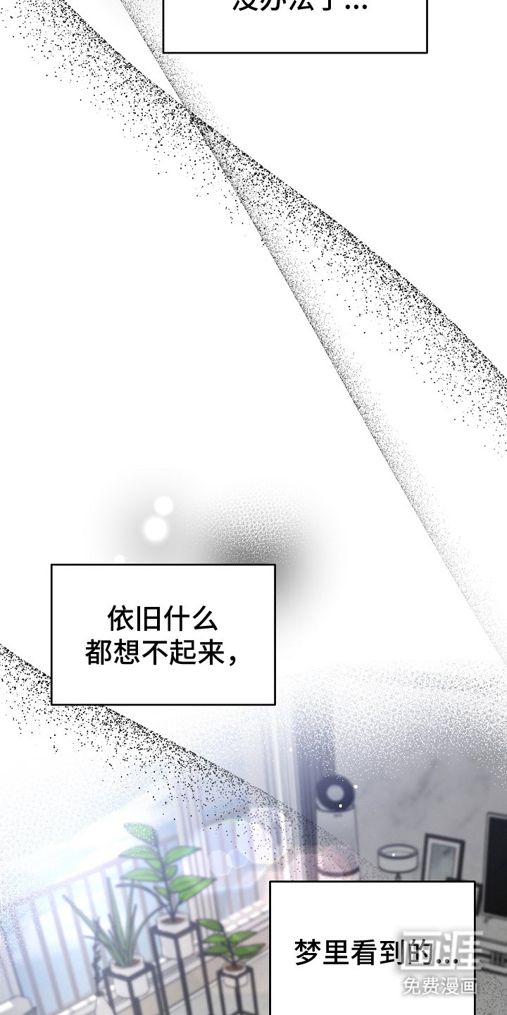 第20章：决心
