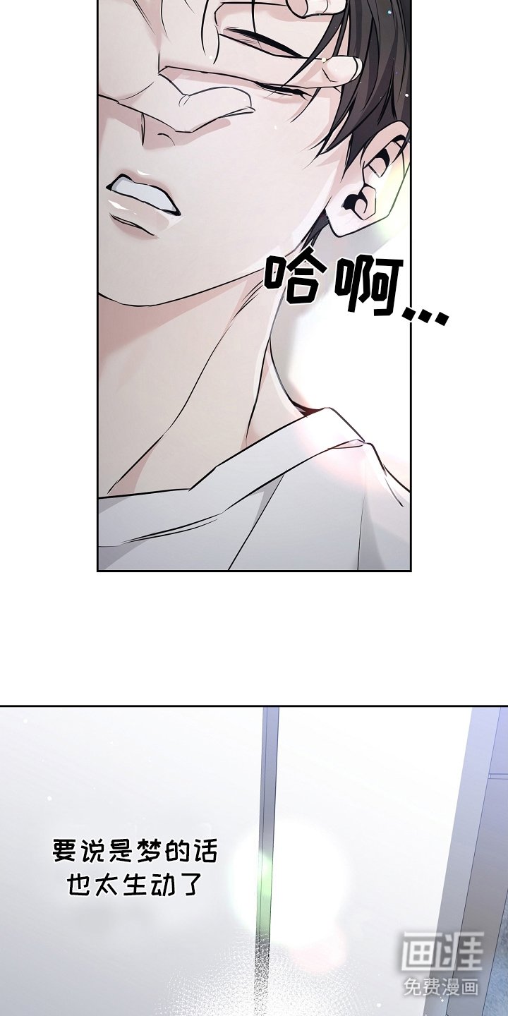 第20章：决心