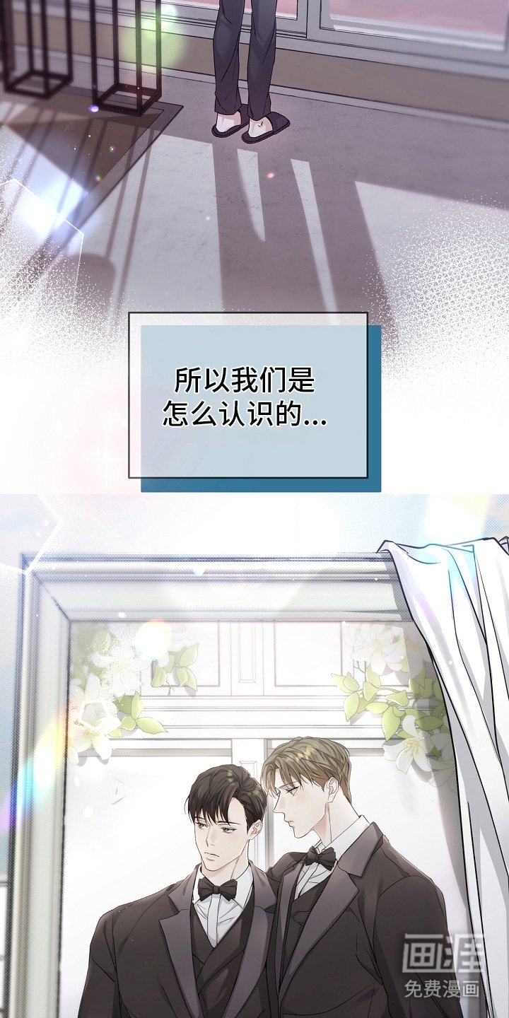 第20章：决心