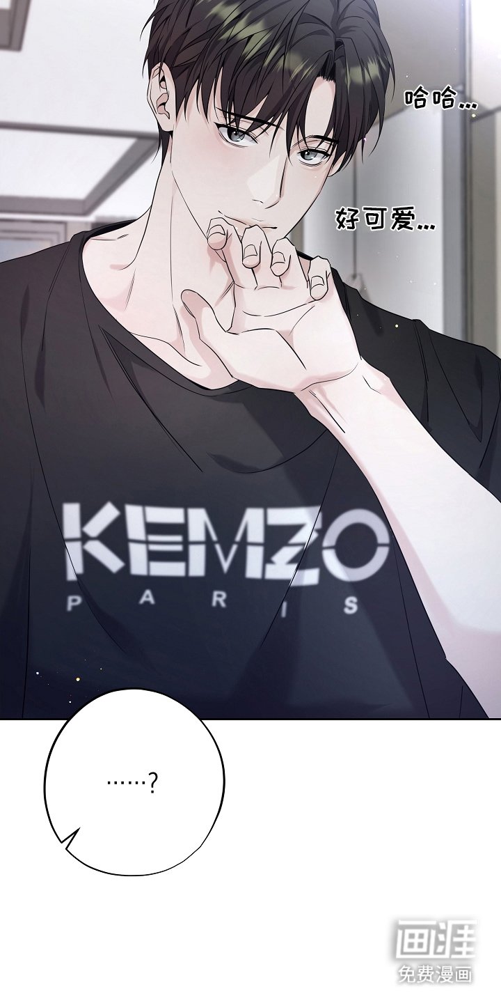第20章：决心